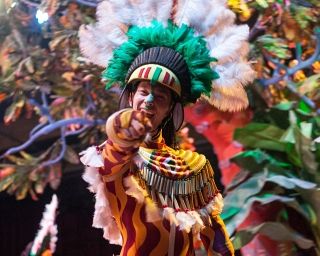 Ein Tänzer in farbenfrohem Kostüm und Federn posiert.